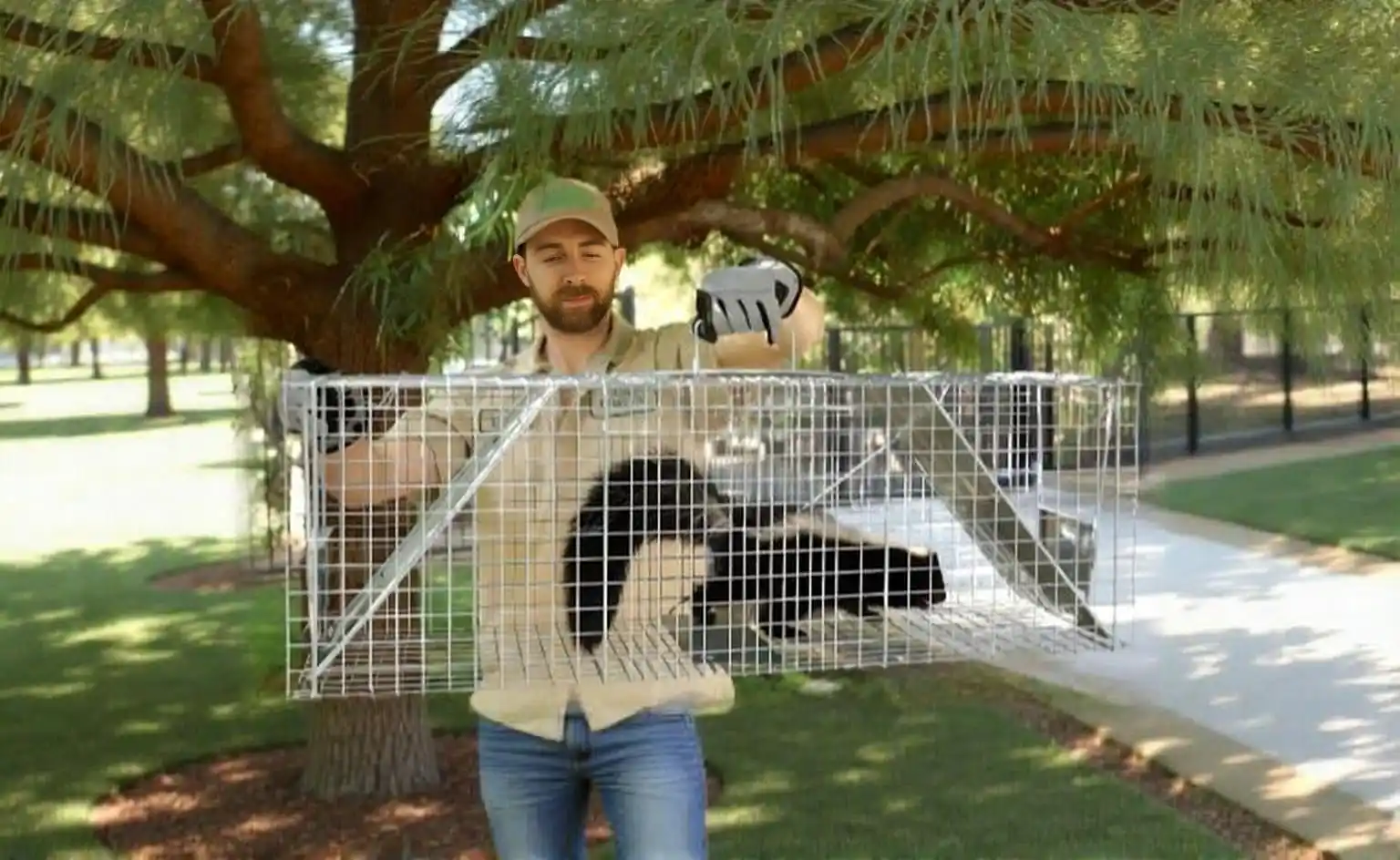 Opossum Removal in North Alabama