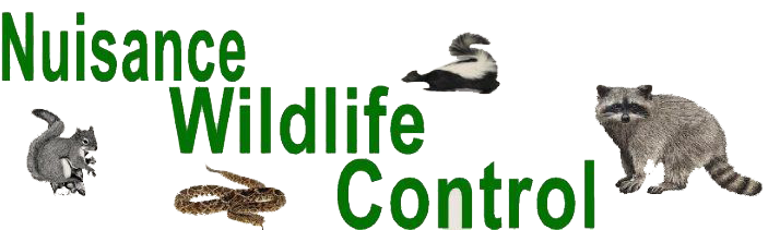 Nuisance Wildlife Control LLC